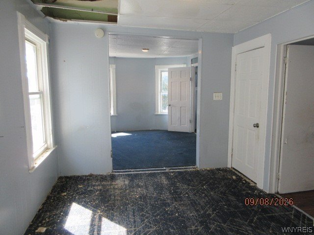 Picture 22