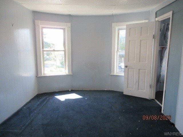 Picture 25