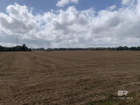 Loxley, AL Vacant Land