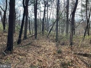 LAND - BIG POOL, MD