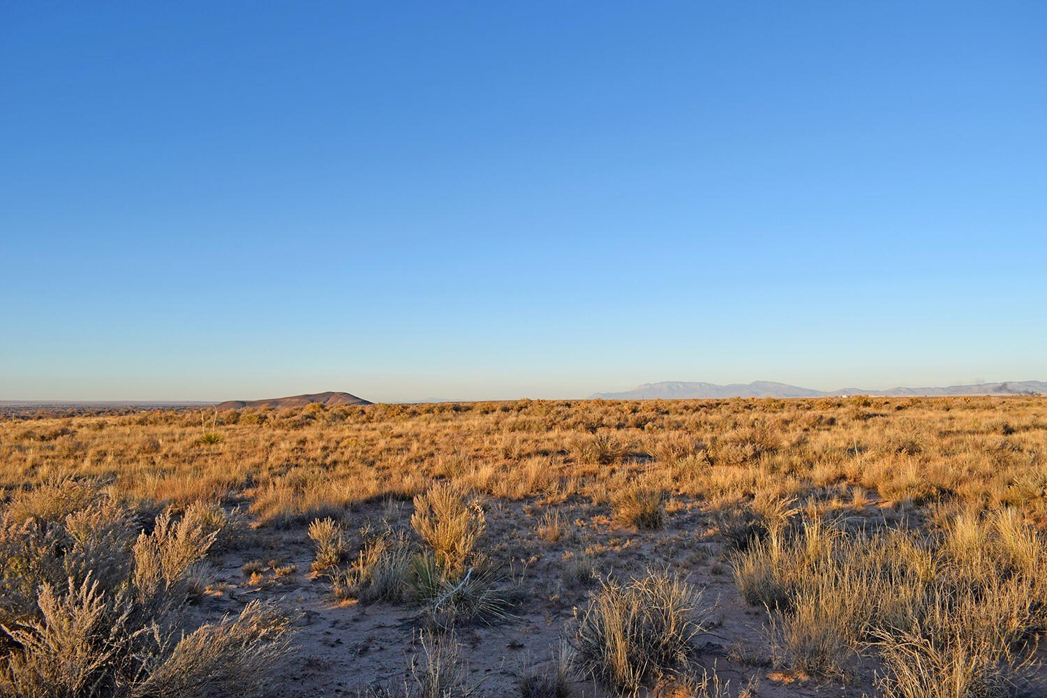Land in Los Lunas, NM