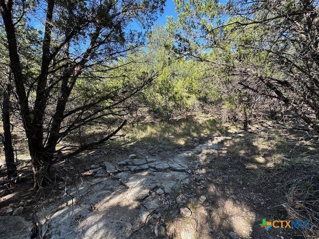 Picture 19
