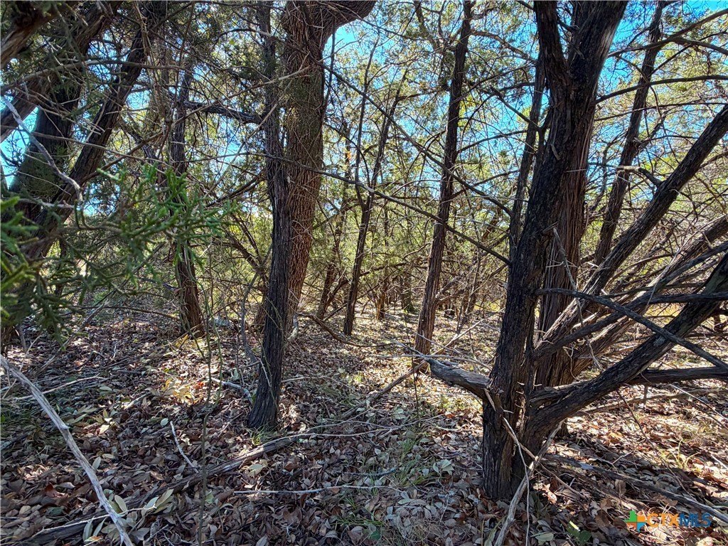 Picture 16