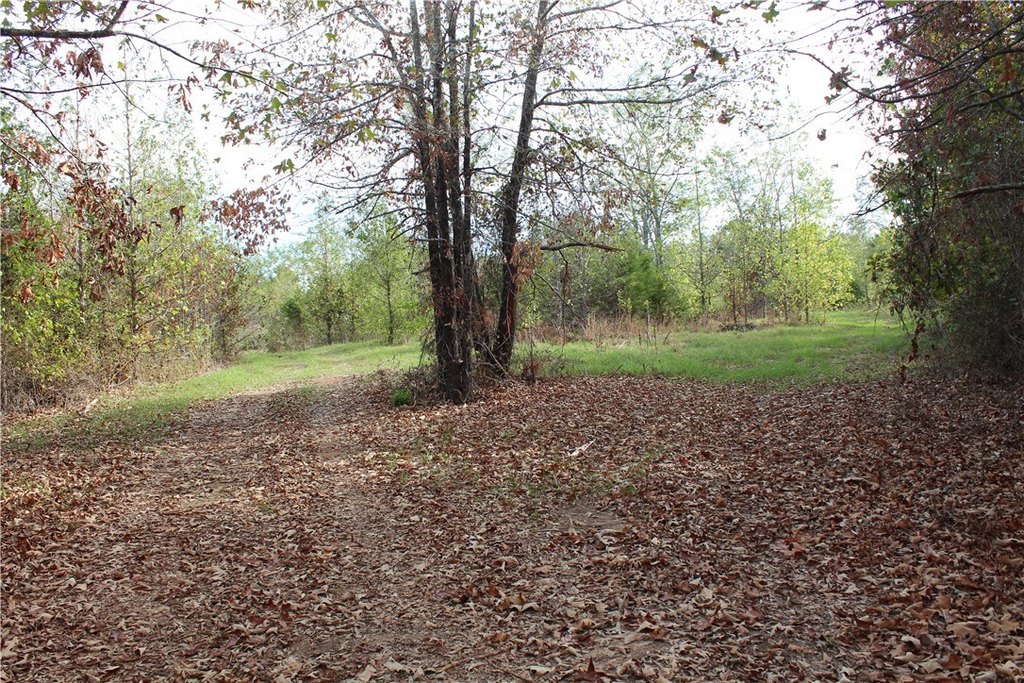 Picture 25