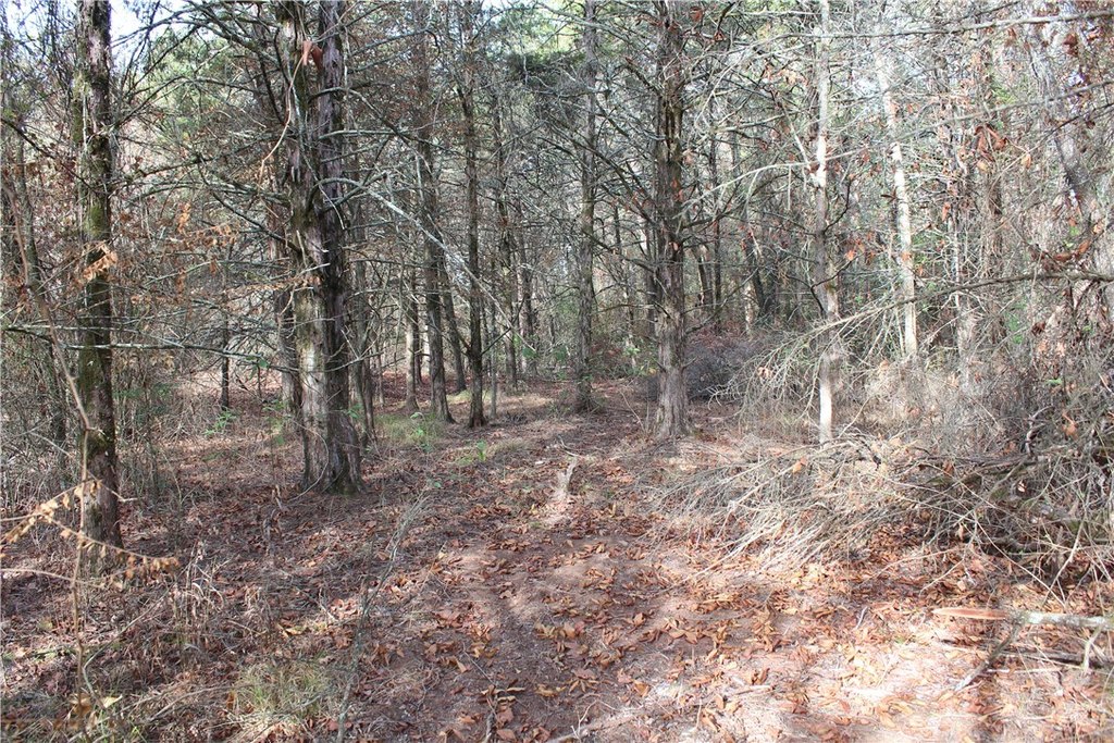 Picture 15