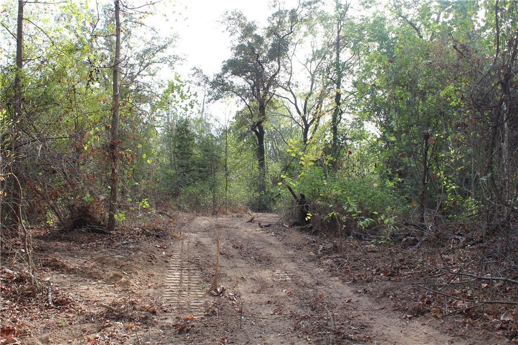 Picture 21