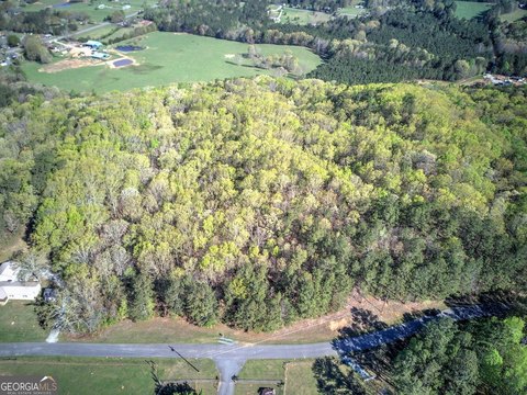 16.54 Acres in Buchanan, GA