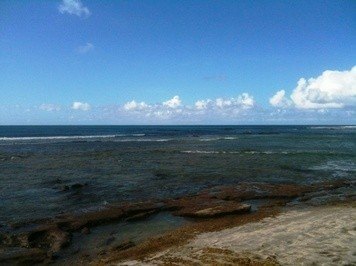 Picture 5