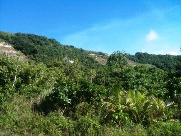 Picture 10