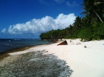 Picture 3