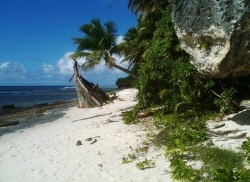 LAND - Dededo, GU