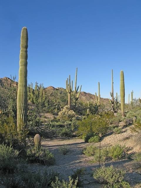 Picture 20