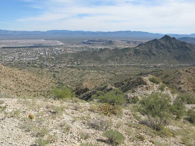 Picture 15