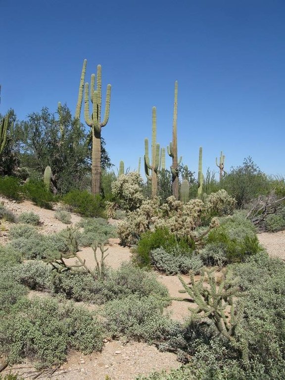 Picture 17