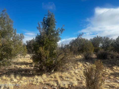 Recreational Land in Seligman, Arizona