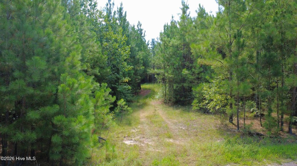 Picture 6
