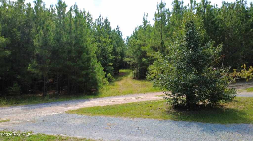 Picture 8