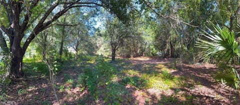 Land, Punta Gorda, FL