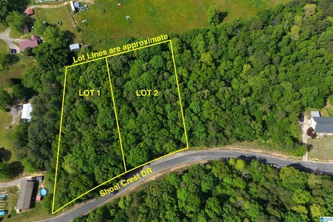 Land Lots in Ashville, AL