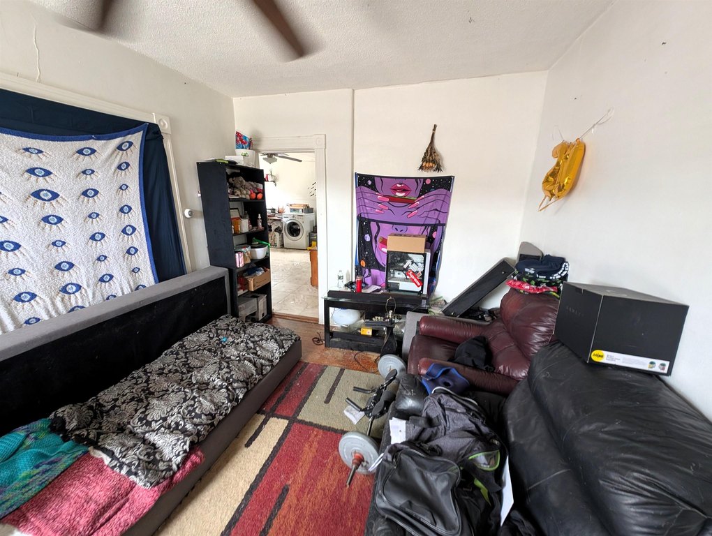 Picture 7