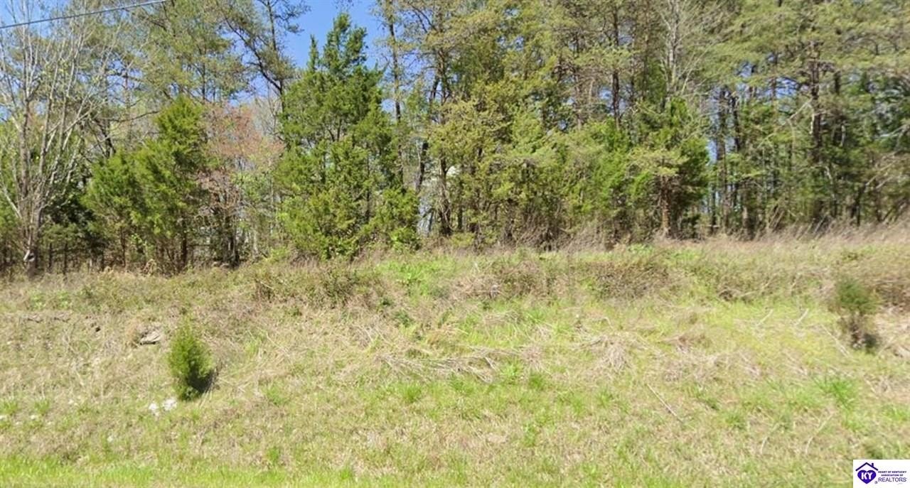 Land Near Mammoth Cave