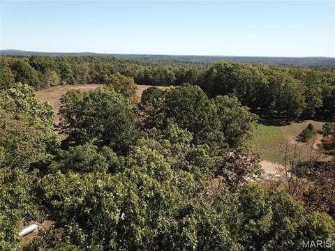 Wooded Acreage Near National Forest