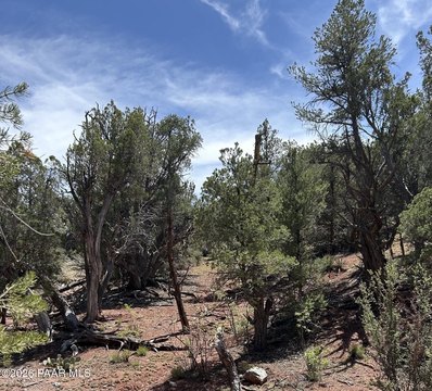 LAND - Ash Fork, AZ