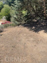Picture 10