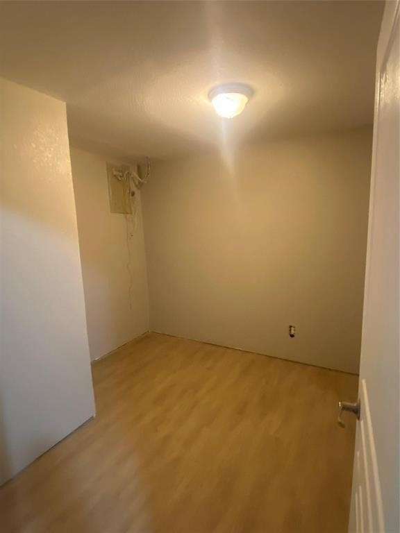 Picture 8