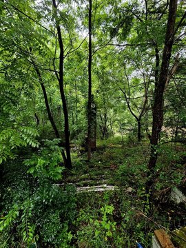 Lots, PRINCETON, WV
