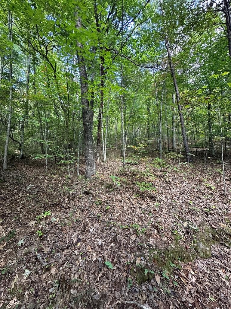 Murphy, NC Vacant Land