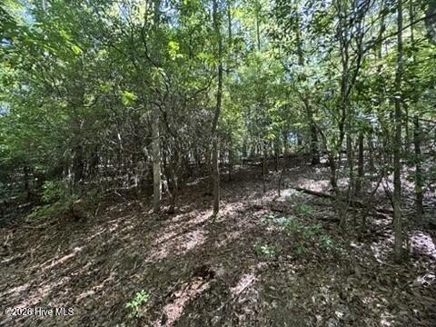 Picture 18