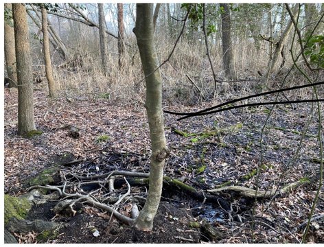 Vacant Land in Bayville, NJ