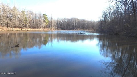 Secluded Land Near Arkabutla Lake