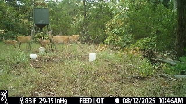 Picture 23