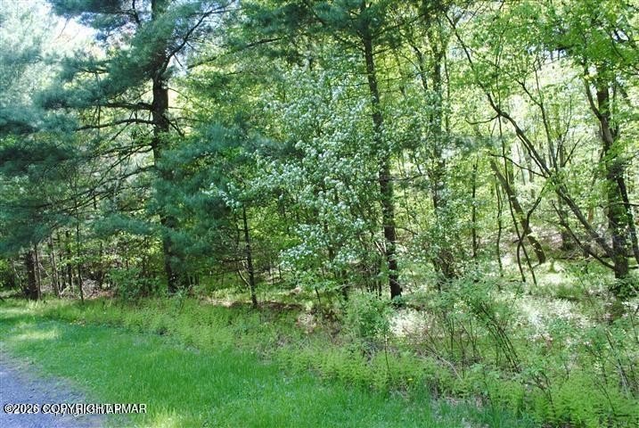 Land in Arrowhead Lakes
