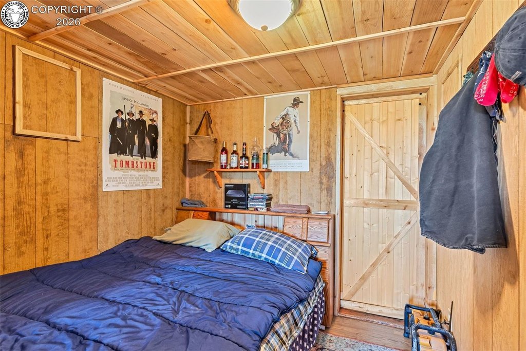 Picture 8