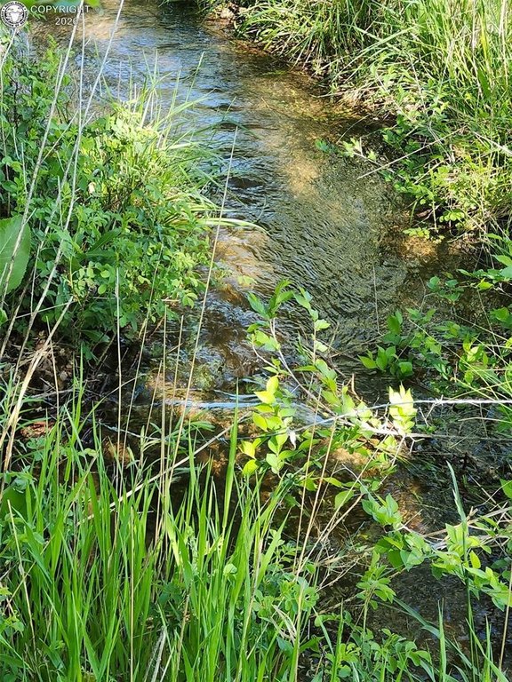 Picture 18