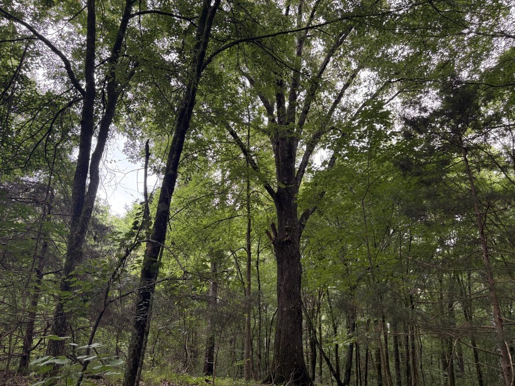 Picture 15