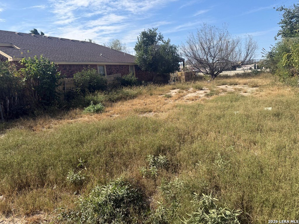Picture 10