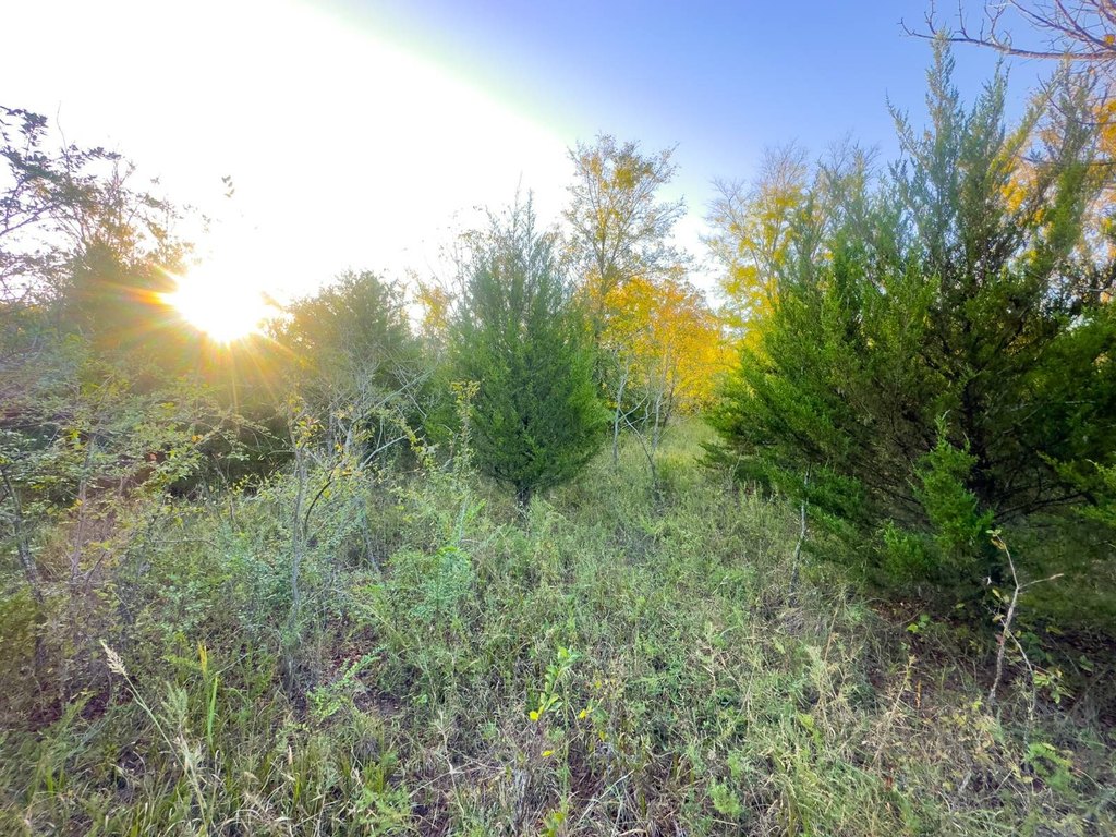 Picture 11
