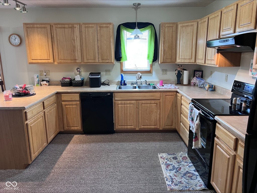Picture 5