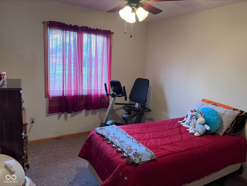 Picture 11
