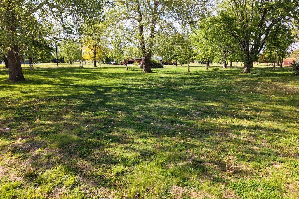 Picture 4