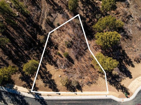 Durango Residential Land Opportunity