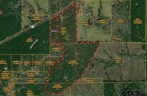 Hunting Timber Tract with Highway Frontage