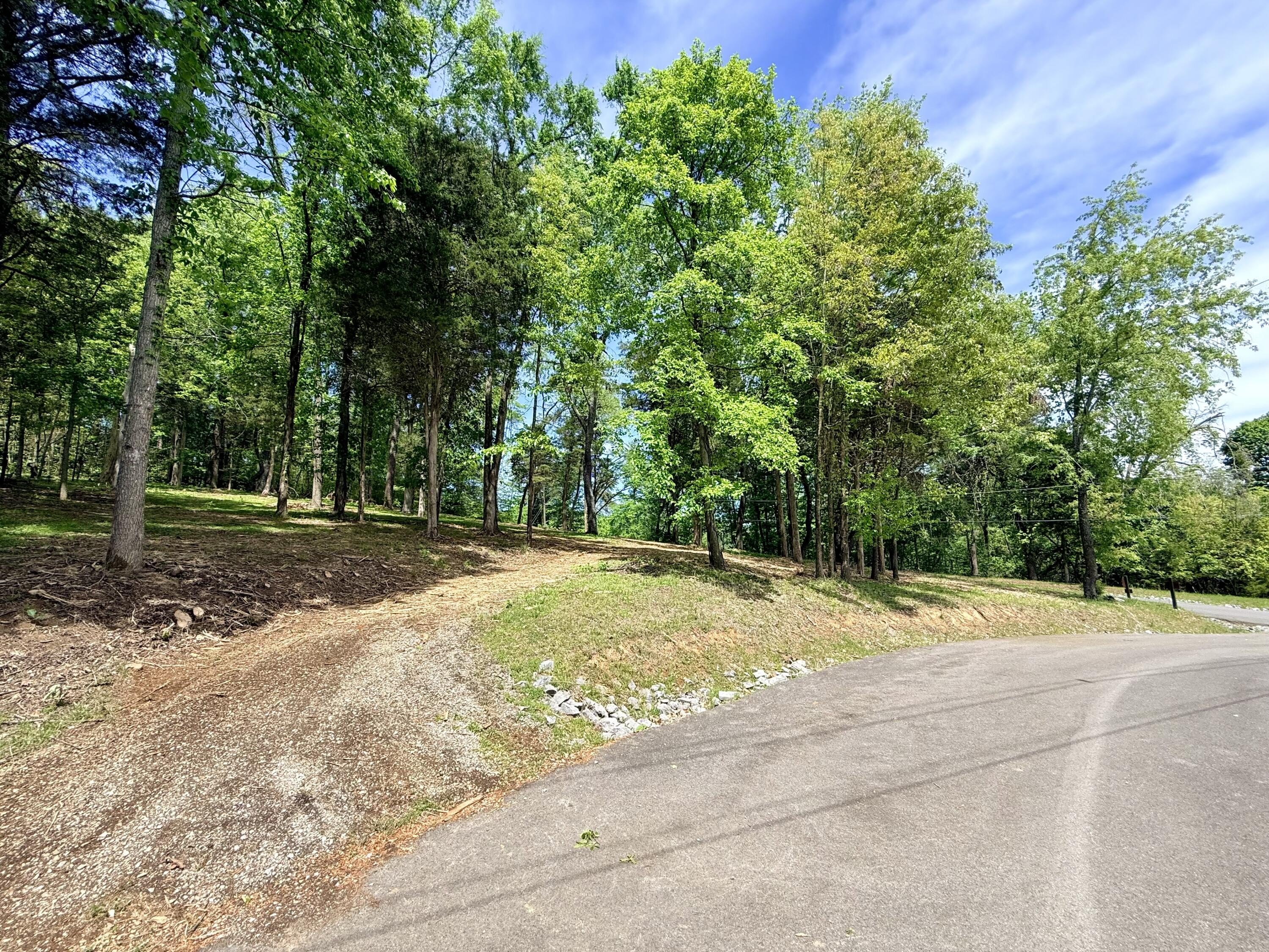 Residential Land with Lake Views