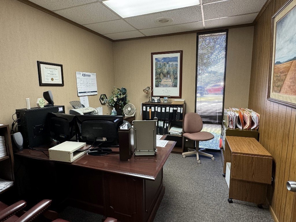 Picture 16