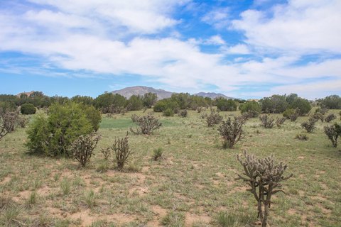 LAND - Edgewood, NM