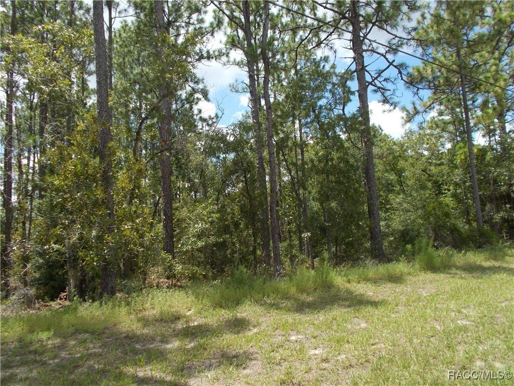Citrus Springs Building Lot